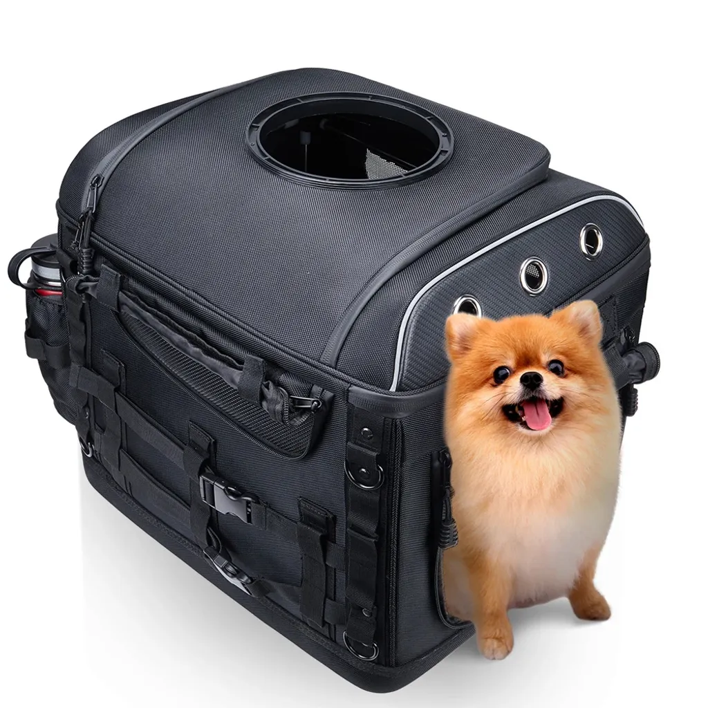Sac de transport moto sécurisé : voyagez serein avec votre animal