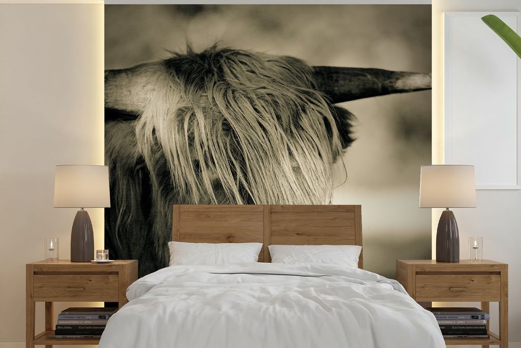 MuchoWow Fototapete für Wohnzimmer oder Schlafzimmer Wandtapete Vinyl Motivtapete Schottischer Highlander - Tiere - Haare - 240x240 cm - Schlafz...