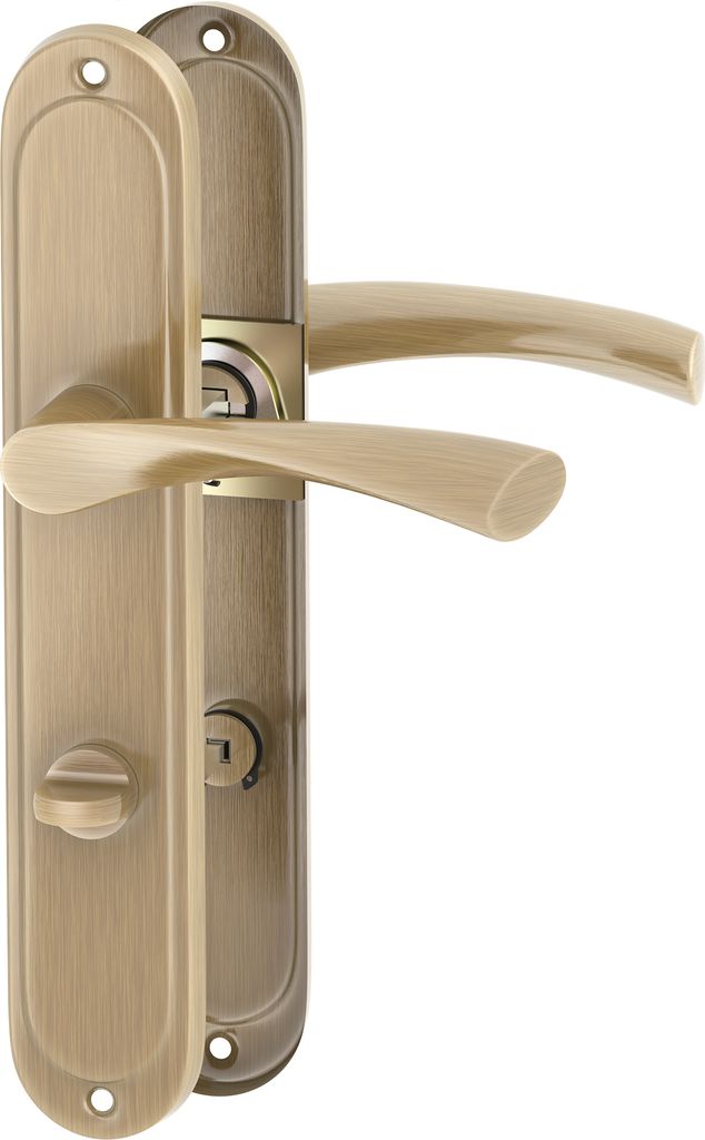 A pair of bronze door handles with escutcheons on a white background.