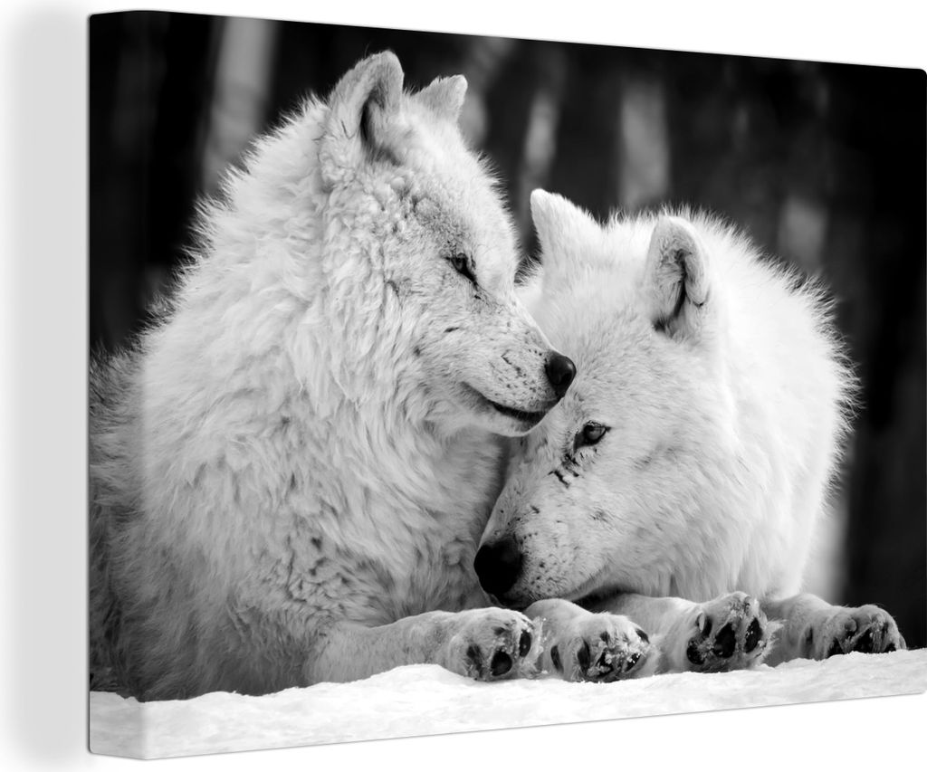 MuchoWow - Leinwandbilder - Zwei weiße Wölfe im Schnee - schwarz und weiß, Wandbild, Wanddeko Bilder Wohnzimmer, 60x40 cm