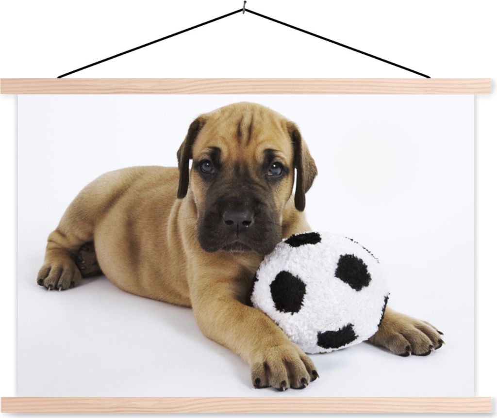 MuchoWow Textilposter Ein brauner Welpe mit einem Fußball 120x80 cm mit holzfarbenen Rahmen - Aufhängeset