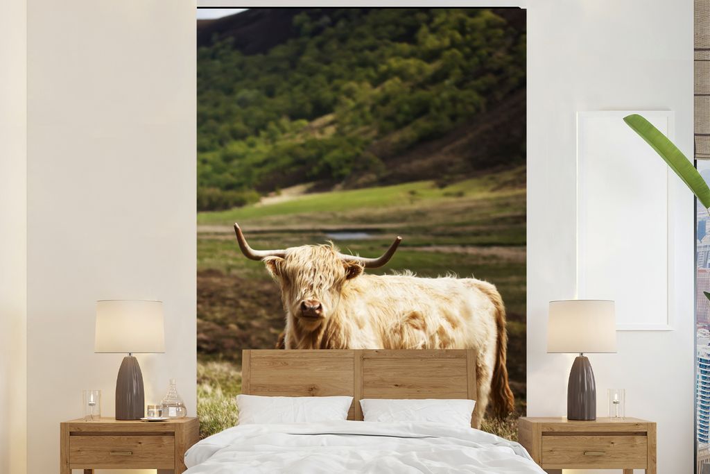 MuchoWow Fototapete für Wohnzimmer oder Schlafzimmer Wandtapete Vinyl Motivtapete Schottische Highlander - Pfad - Wald - 145x220 cm - Wanddekora...