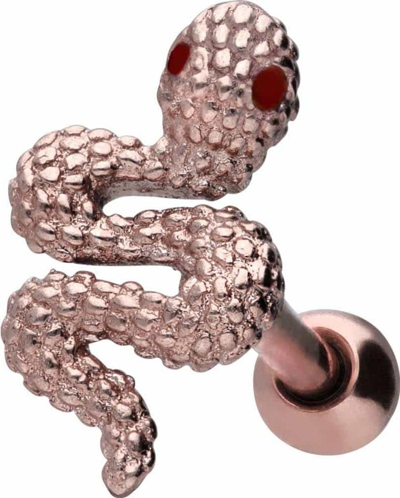 Ohrpiercing Chirurgenstahl Ohrpiercing SCHLANGE