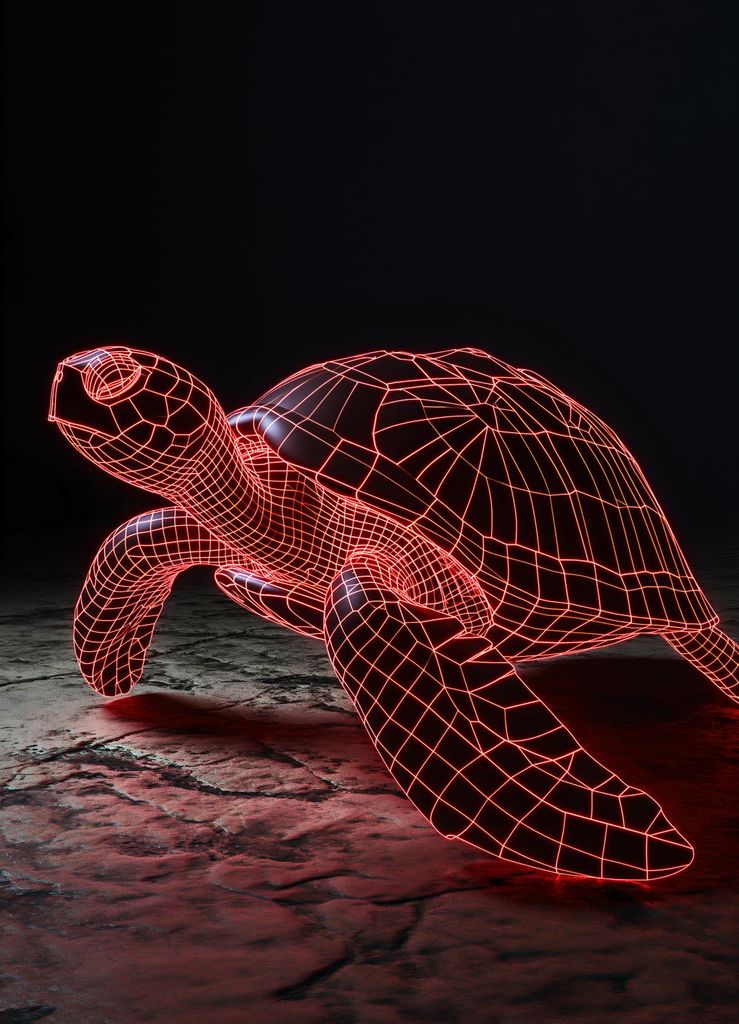 Plakat 20,5x28,4cm Neon-Schildkröte