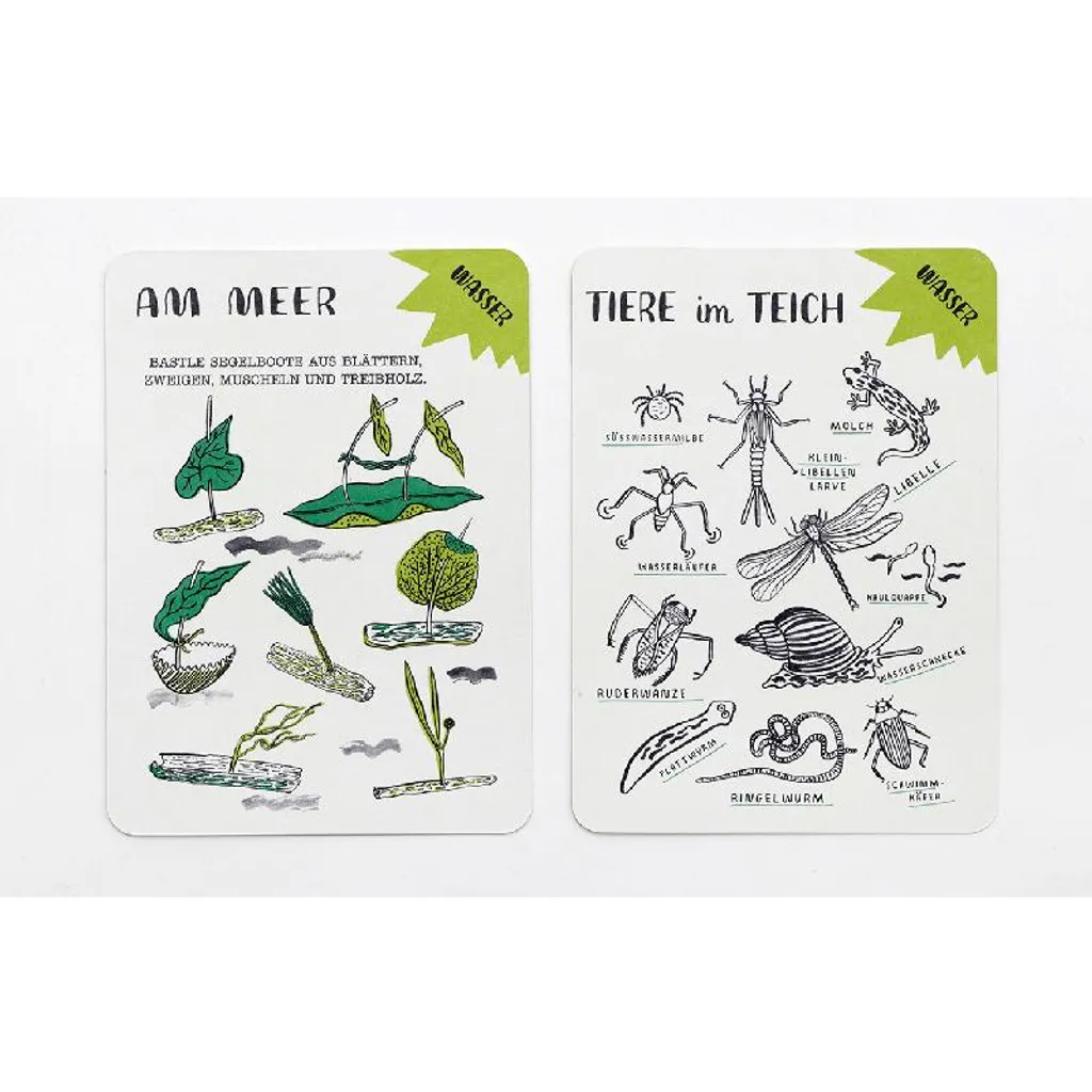 Cartes Hello Nature illustrées : kit d'exploration ludique et durable - 8