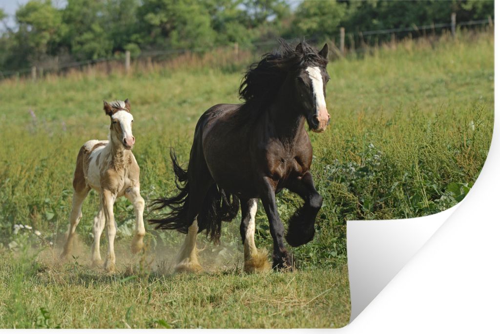 MuchoWow - Aufkleber