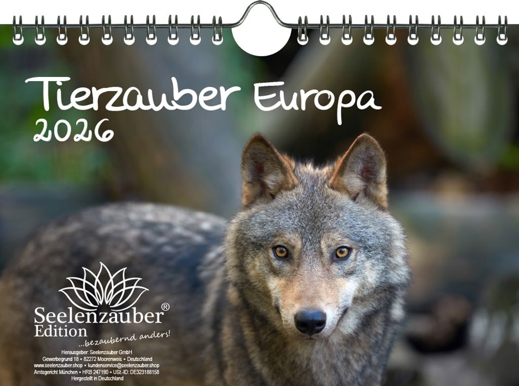 Tierzauber Europa DIN A5 Kalender für 2026 Tiere Wald Natur Baum - Seelenzauber