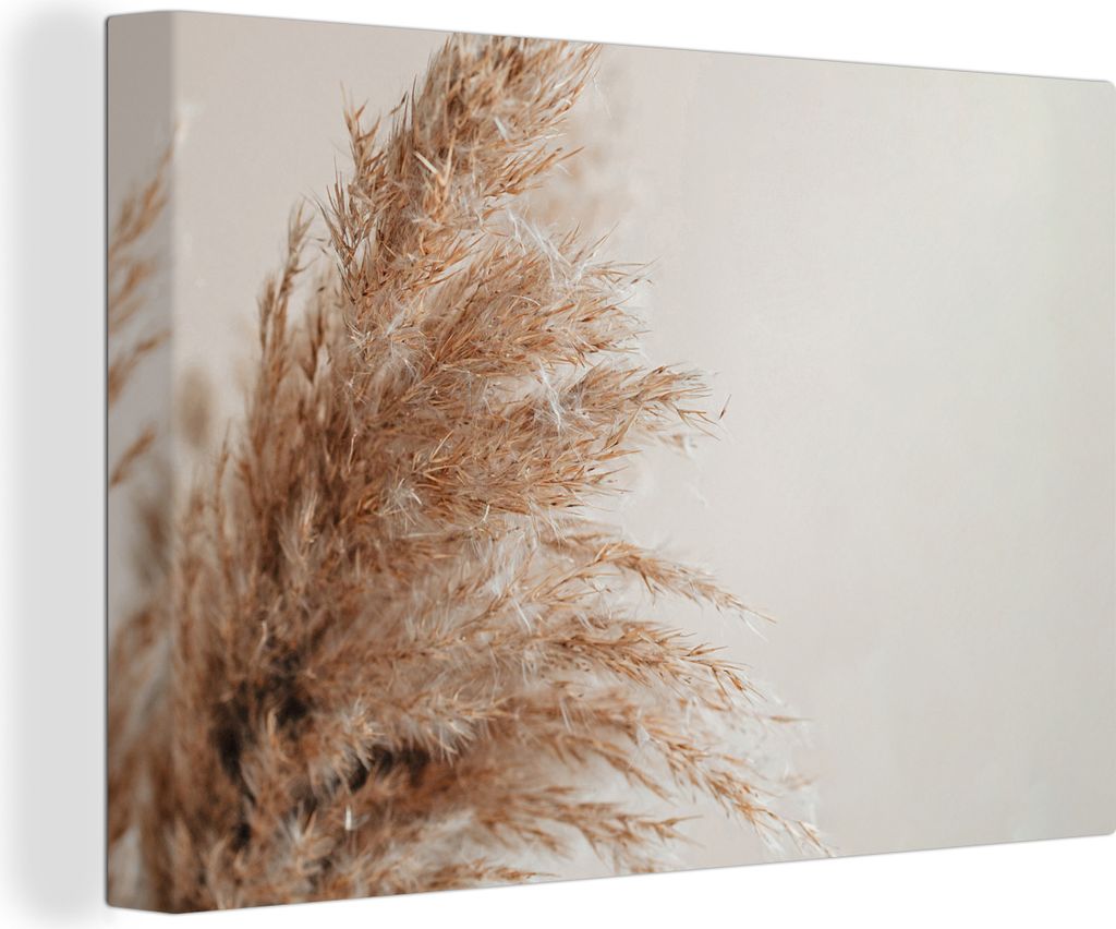 MuchoWow® - Leinwandbilder - Gras - Pflanzen - Natur - Produktbild 