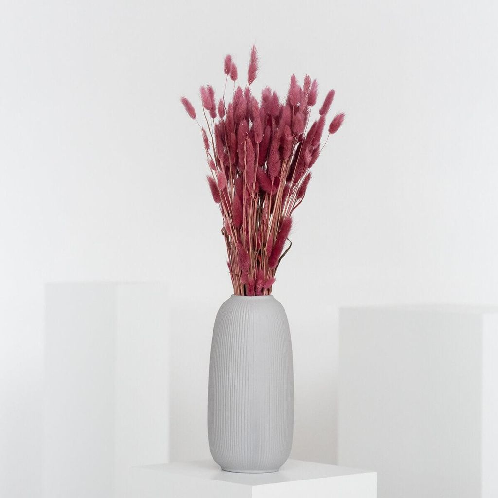 Lagurus Hasenschwanz Samtgras Trockenblumen 60-70cm DIY Produktbild 