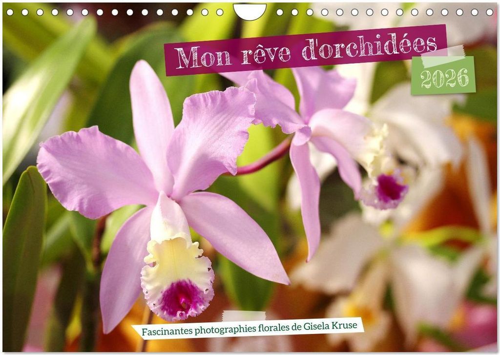 Mon rêve d'orchidées (Calendrier mural 2026 DIN A4 vertical), CALVENDO calendrier mensuel