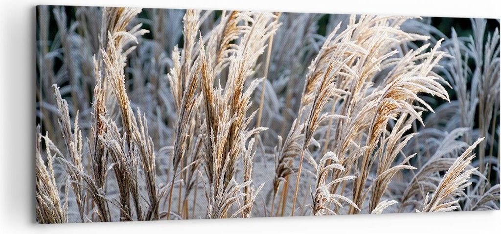 Bild auf Leinwand - Leinwandbild - Einteilig - Stock Ähren Boho - 120x50cm - Wand Bild - Wanddeko - Wandbilder - Leinwanddruck - Bilder - Wanddeko...