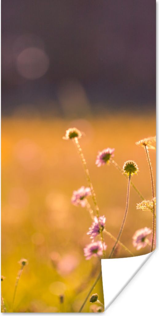 MuchoWow Poster Blumen - Hell - Rosa 60x120 cm - Wandschmuck