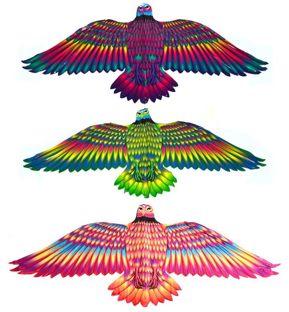 Drago Aquila Volante 132 X 60 Cm Immagine del prodotto 