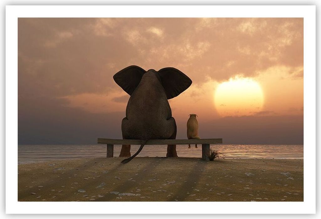 Poster - Poster ohne Rahmen - Elefant Ufer Meer - 91,5x61 cm - Wand Bild - Wanddeko - Wandbilder - Kunstposter - Wandposter - Bilder - Kunstdruck -...