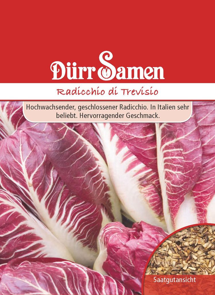 Radicchio di Trevisio | Radieschensamen von Dürr Samen Produktbild 