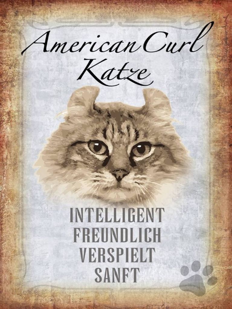 vianmo Holzschild 40x30 cm American Curl Katze