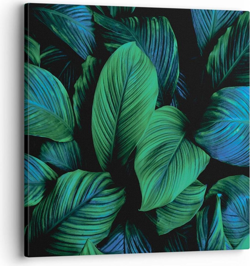 Bild auf Leinwand - Leinwandbild - Einteilig - Blätter Pflanzen Exotik - 40x40cm - Wand Bild - Wanddeko - Wandbilder - Leinwanddruck - Bilder - Wa...