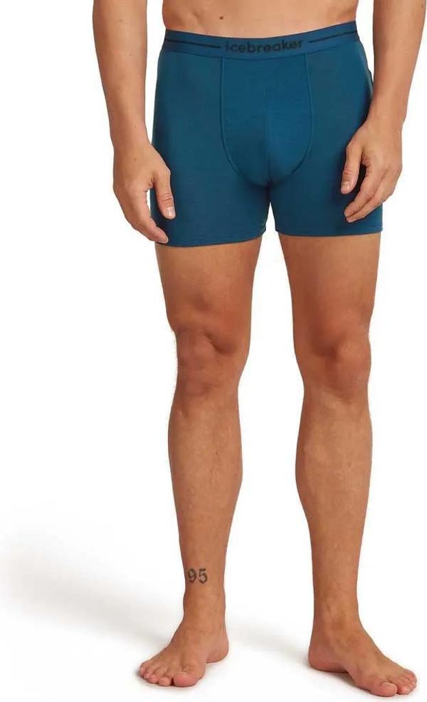 Icebreaker Merino 150 Anatomica Boxershorts Blau XL Mann Blau XL