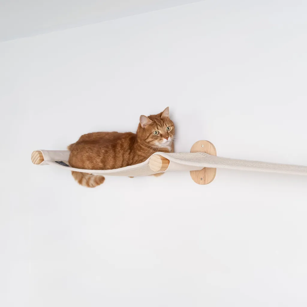 Mur d'escalade chat beige avec pont mural suspendu - Set complet bois