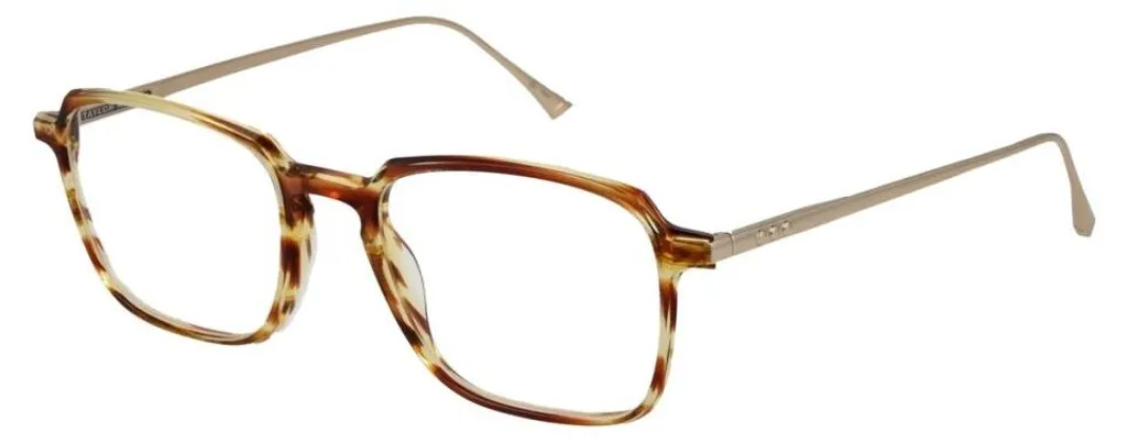 Taylor Morris Sw3 53C2 Lunettes de Soleil Idéales pour Conduite et Ville