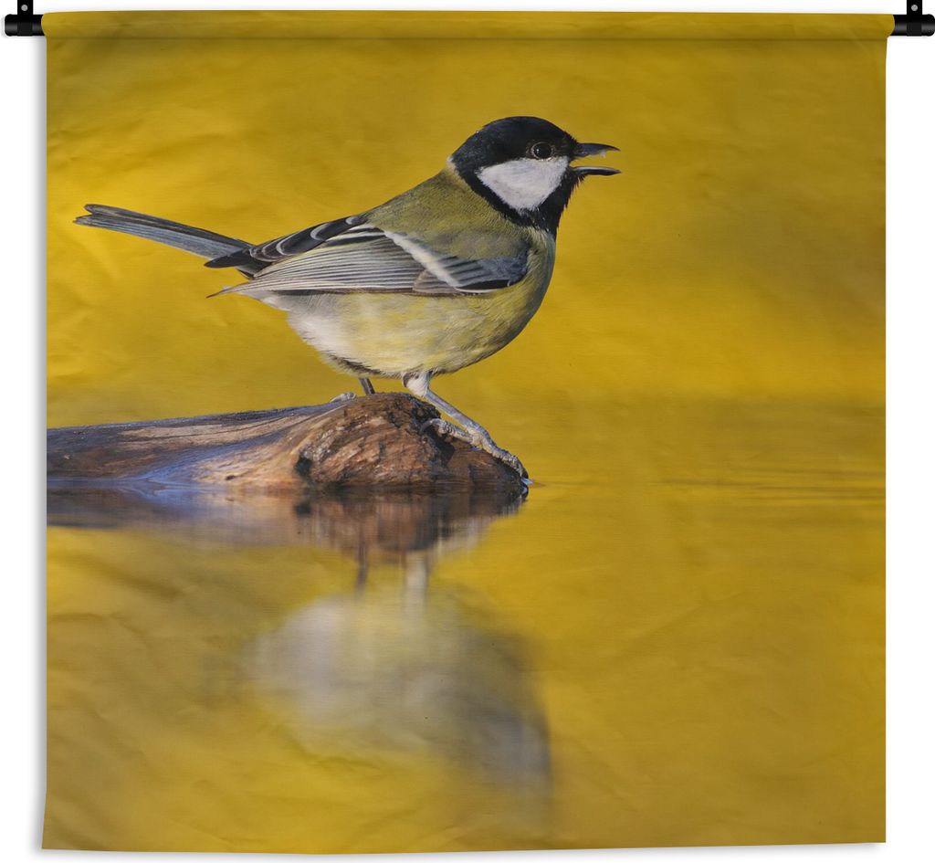 MuchoWow Wandteppich Wandbehang Kohlmeise - Vogel - Wasser 90x90 cm Tapisserie Dekoration Wandtuch - Wandaufhänger