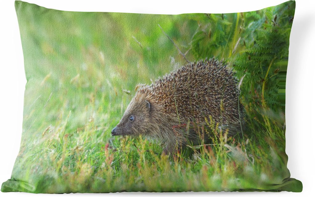 MuchoWow Outdoor Kissen - Igel steht im Gras - 60x40 cm - Wetterfest - Lounge Kissen - Zierkissen - Kissen für Innenräume