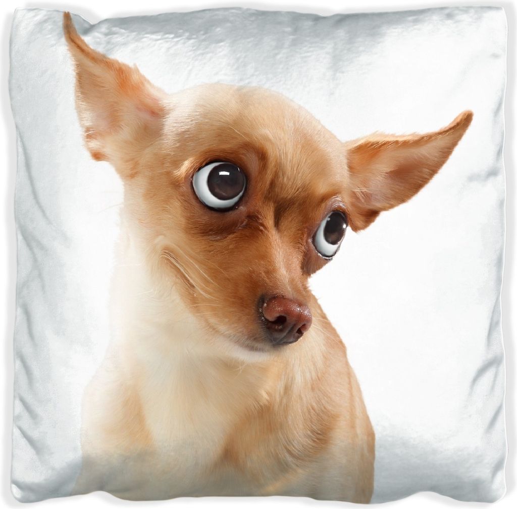Wallario Premium Kissen, weiche Oberfläche, mit Motiv Lustiger Hund mit fliegenden Ohren, Größe: 60 x 60 cm, mit weißer Rückseite