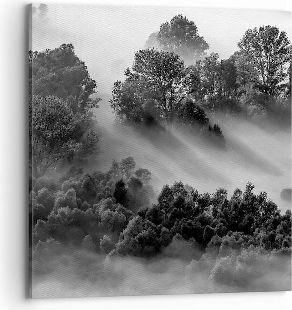 Bild auf Leinwand - Leinwandbild - Einteilig - Schwarzweiß Bäume Nebel - 70x70cm - Wand Bild - Wanddeko - Wandbilder - Leinwanddruck - Bilder - W...