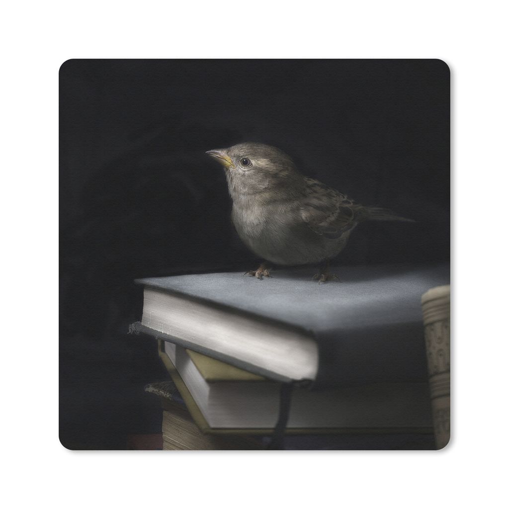 MuchoWow Mauspad Mousepad Vogel - Bücher - Porträt 20x20 cm - Mousepads - Maus Mat - Pad - Mausunterlage - Desk Mat - Bureauartikeln