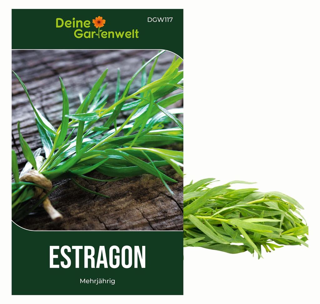 Estragon Mehrjährig Samen - Artemisia dracunculus - Produktbild 
