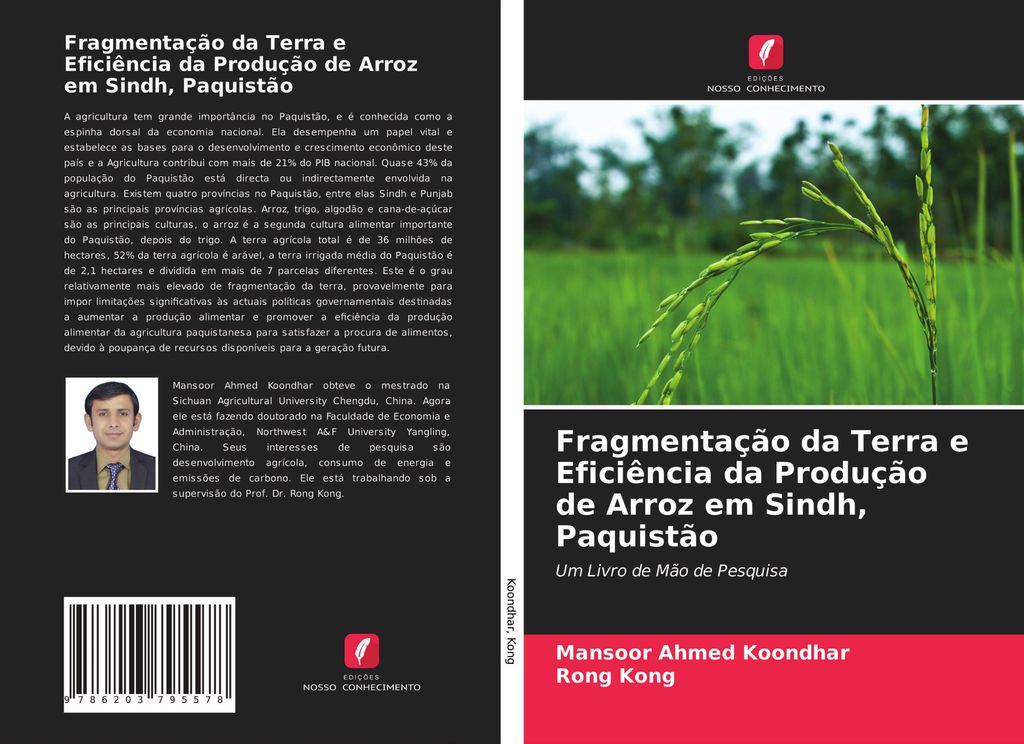 Fragmentação da Terra e Eficiência da Produção de Arroz em Sindh, Paquistão