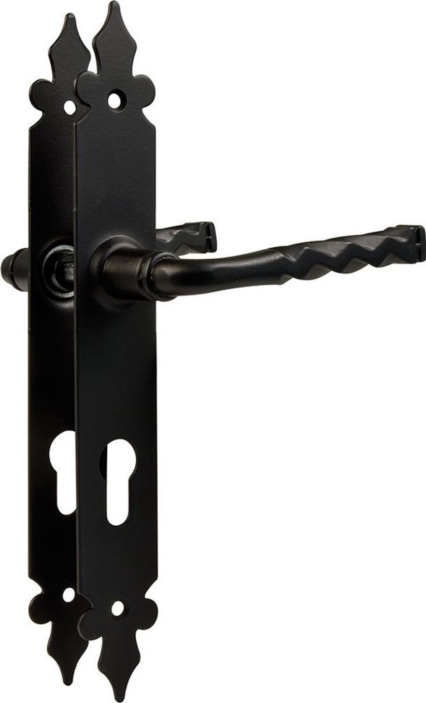 A black metal door handle with a keyhole plate.