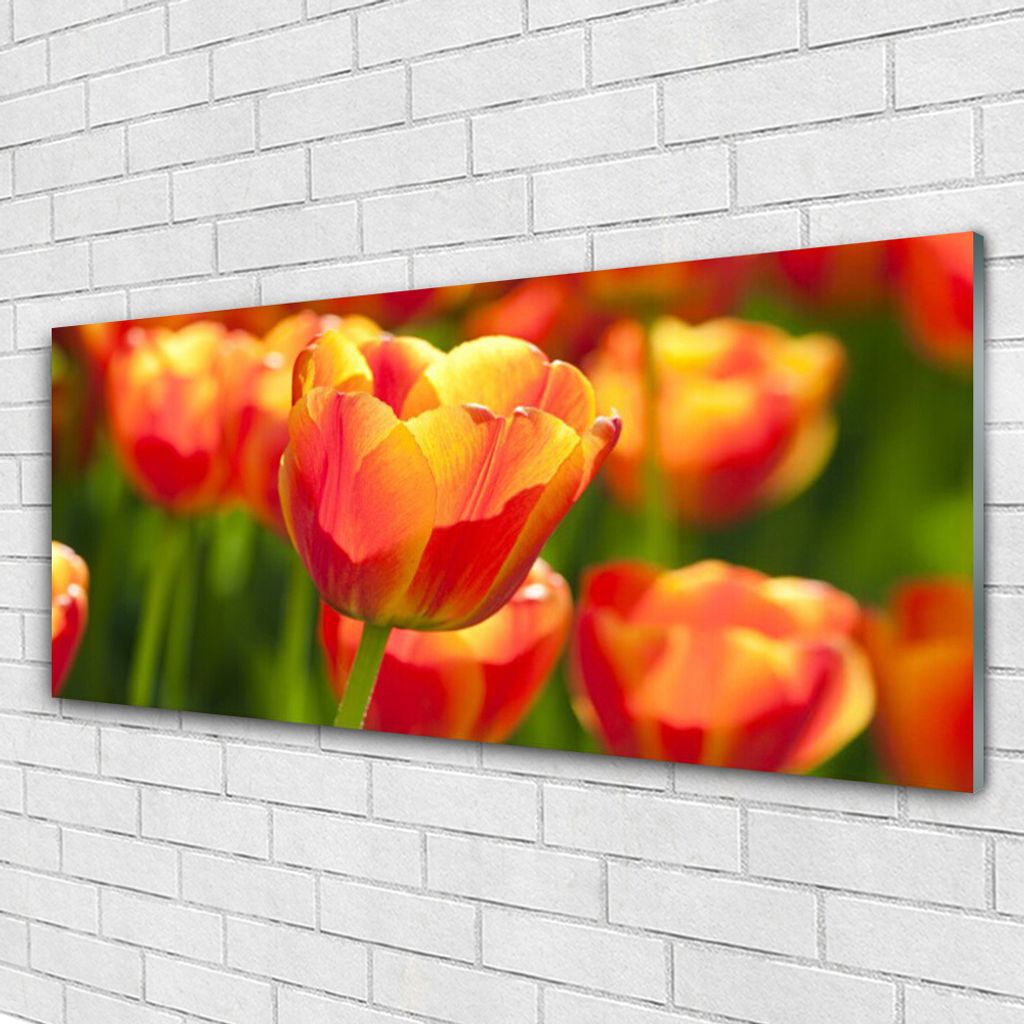 Acrylglasbilder 125x50 Wandbild Druck Tulpen Pflanzen