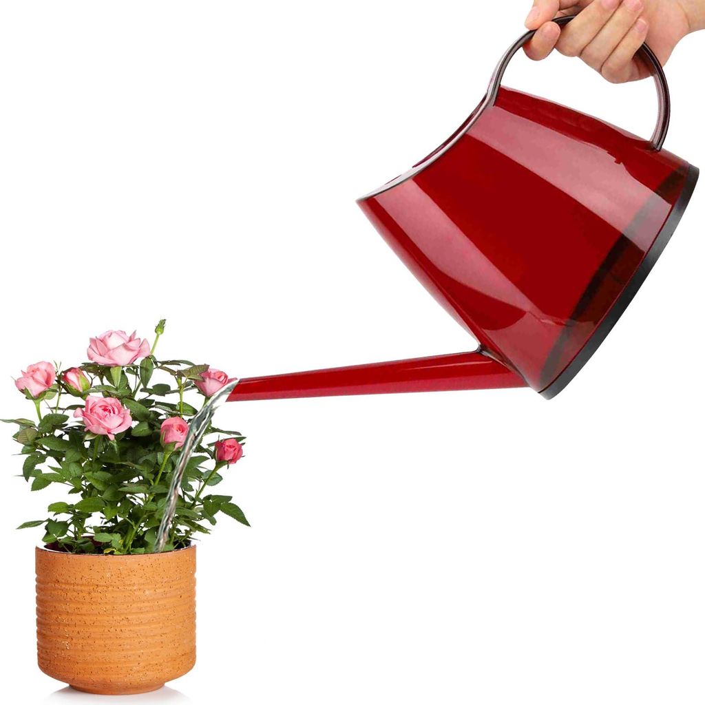 Gießkanne für Zimmerpflanzen, Loft Flower Care Gießkanne, 1,2-Liter-Gießkanne mit langem Ausguss, kleine transparente Gießkanne für Gartenblu...