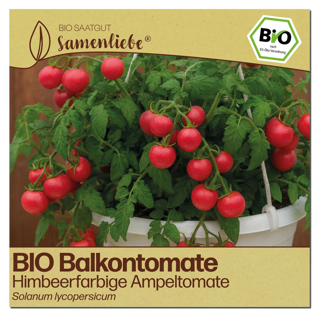 Samenliebe  Tomate Samen | Himbeerfarbige Ampeltomate - Produktbild 