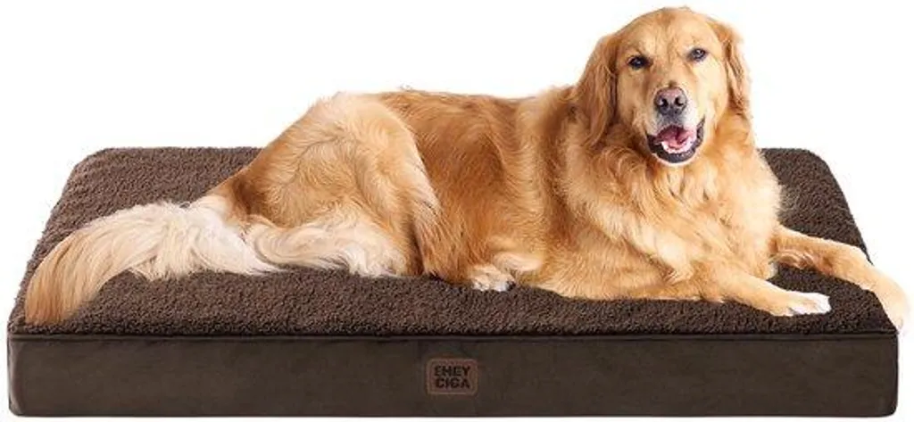 Lit orthopédique chien XL : confort articulaire et sommeil réparateur