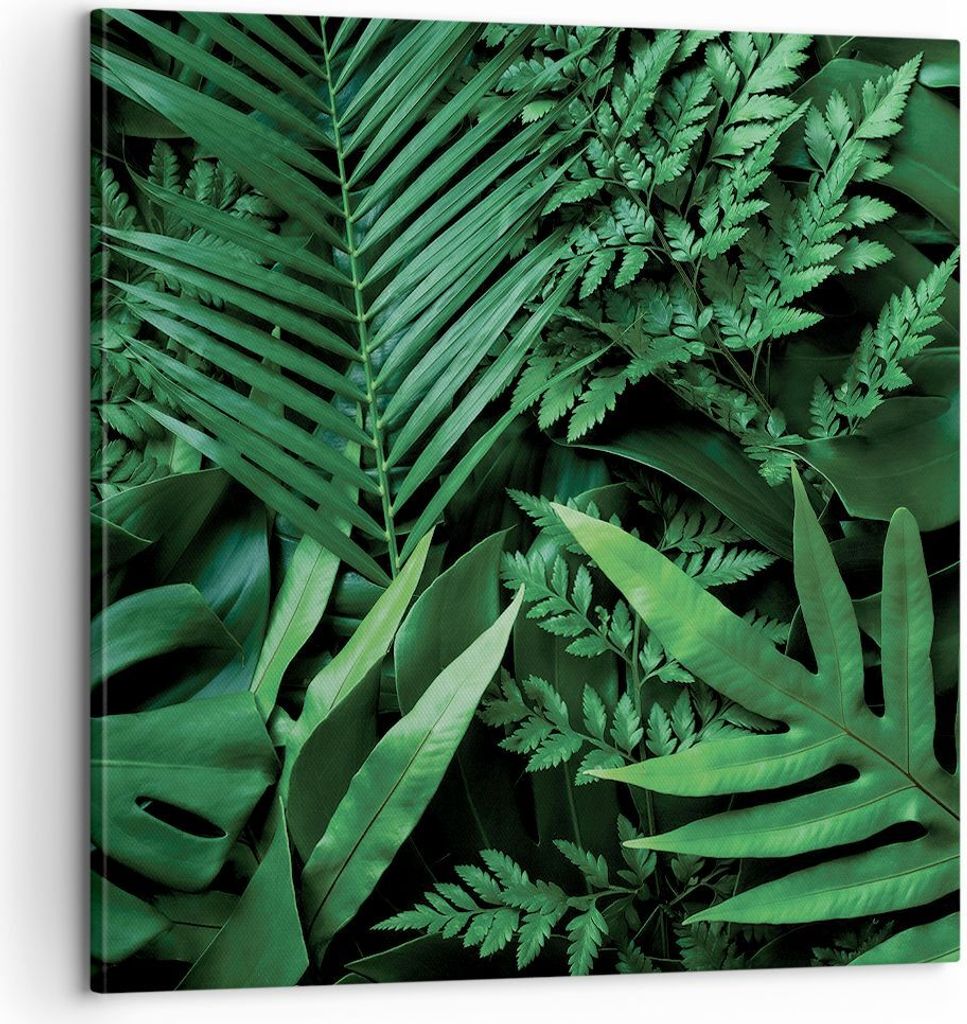 Bild auf Leinwand - Leinwandbild - Einteilig - Exotisch Blätter Monstera - 60x60cm - Wand Bild - Wanddeko - Wandbilder - Leinwanddruck - Bilder - ...