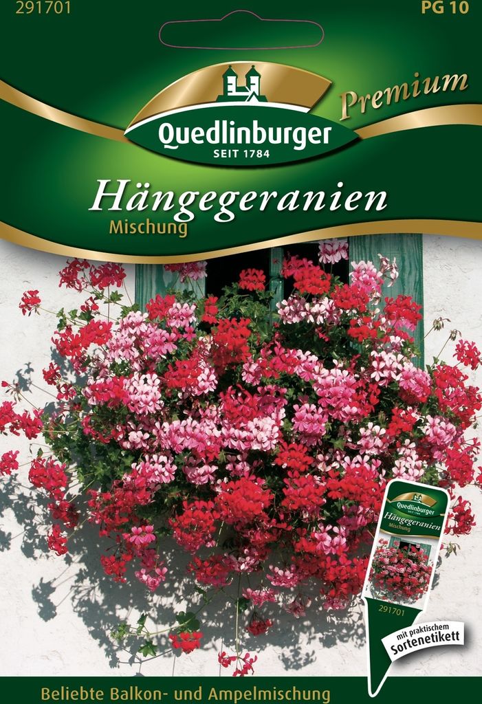 Quedlinburger Saatgut - Hänge-Geranien Mischung - Samen - Produktbild 1