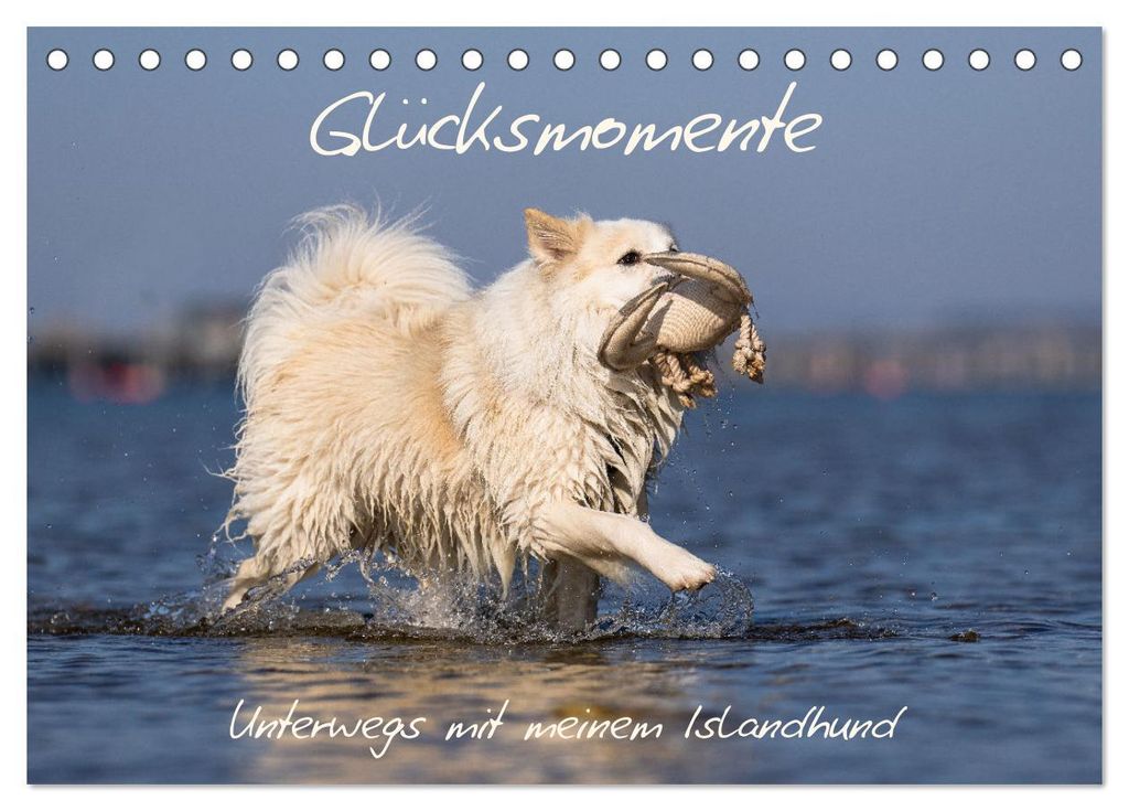 Glücksmomente - Unterwegs mit meinem Islandhund (Tischkalender 2027 DIN A5 quer), CALVENDO Monatskalender