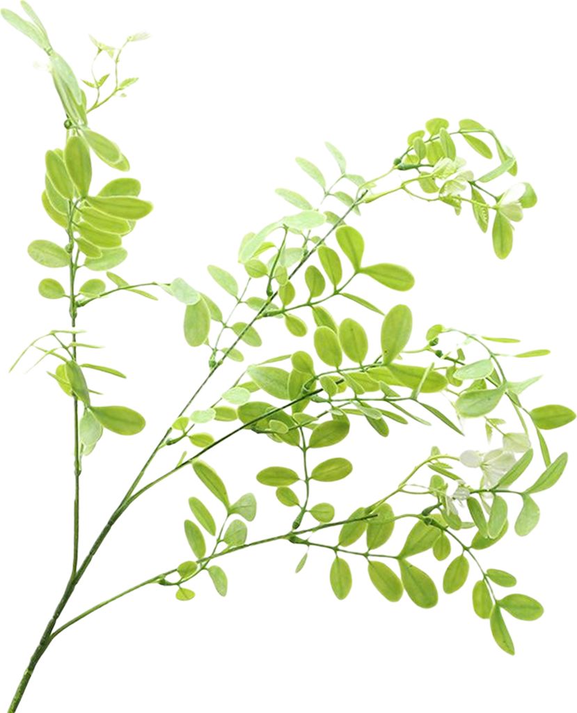 Realistische Nachahmungpflanze lebhafte nicht verblüffende dekorative frisch wecke klare Vines Branch Fake Locust Leaf Home Decor-A