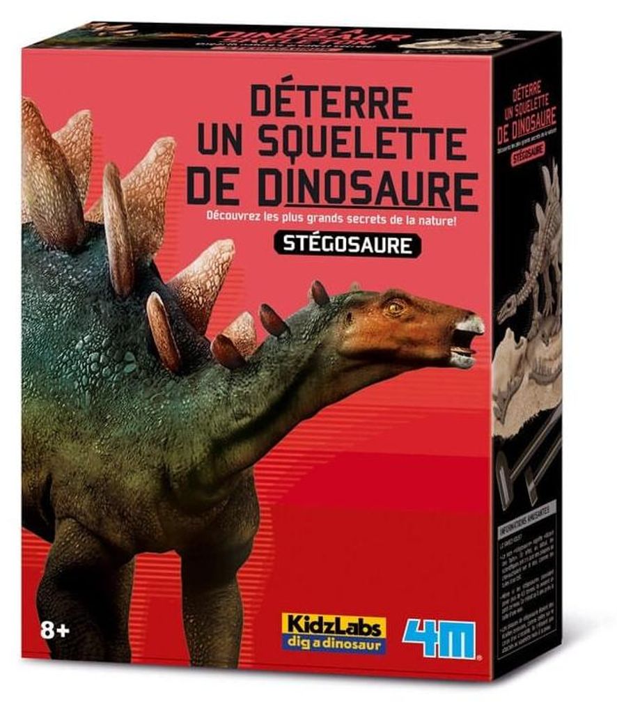 4M KidzLabs Dinosaurier Ausgrabungsset Stegosaurus - Lernspielzeug