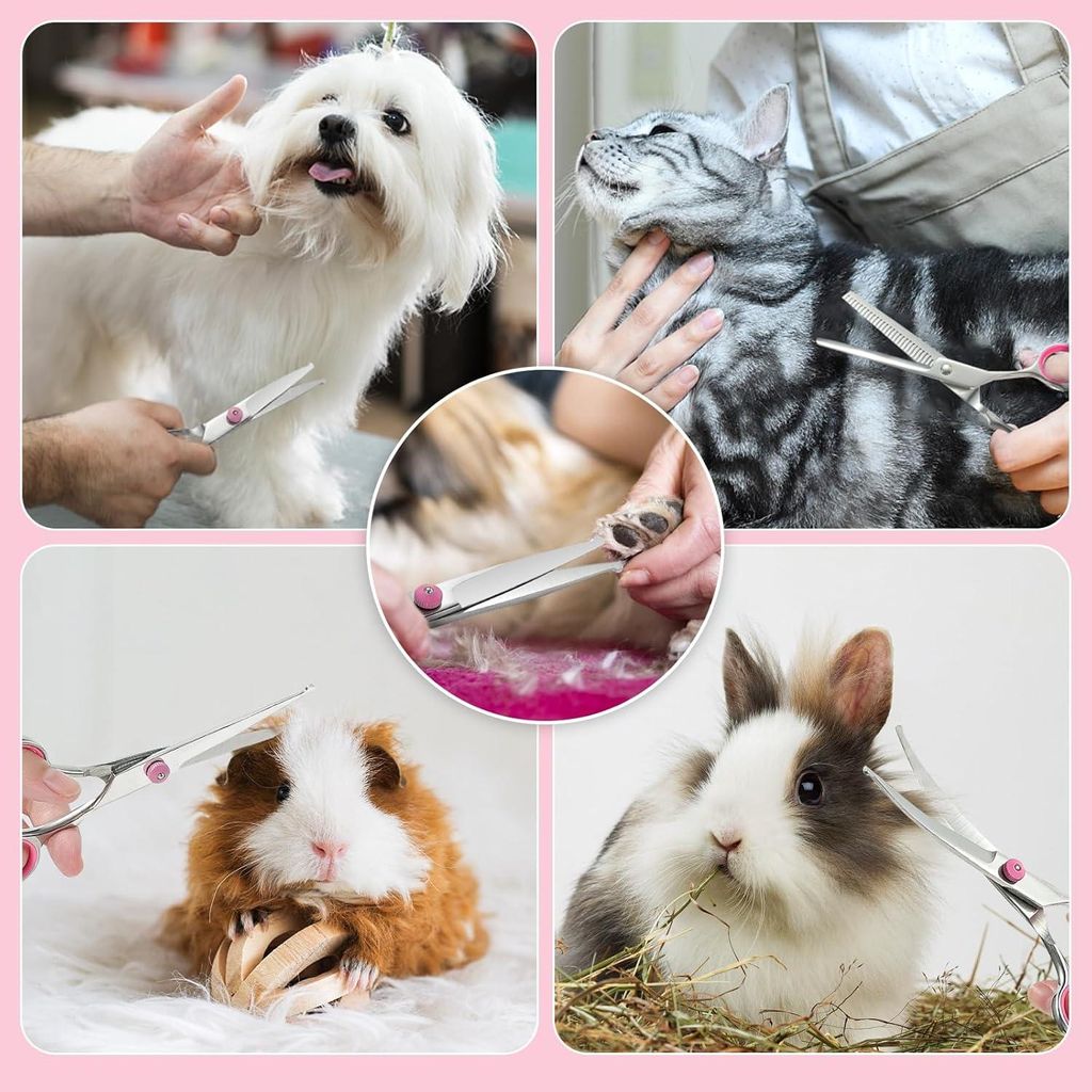 6-in-1 gebogene professionelle Hundescheren-Set - rostfreier Stahl - 7,5 Zoll - Ausdünnschere - gebogene Schere