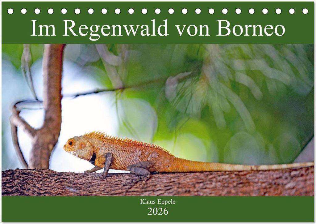 Im Regenwald von Borneo (Tischkalender 2026 DIN A5 quer), CALVENDO Monatskalender