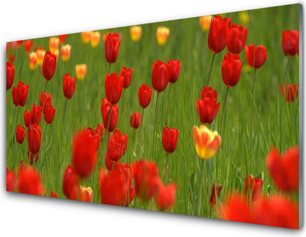 Acrylglasbilder 100x50 Wandbild Druck Tulpen Natur
