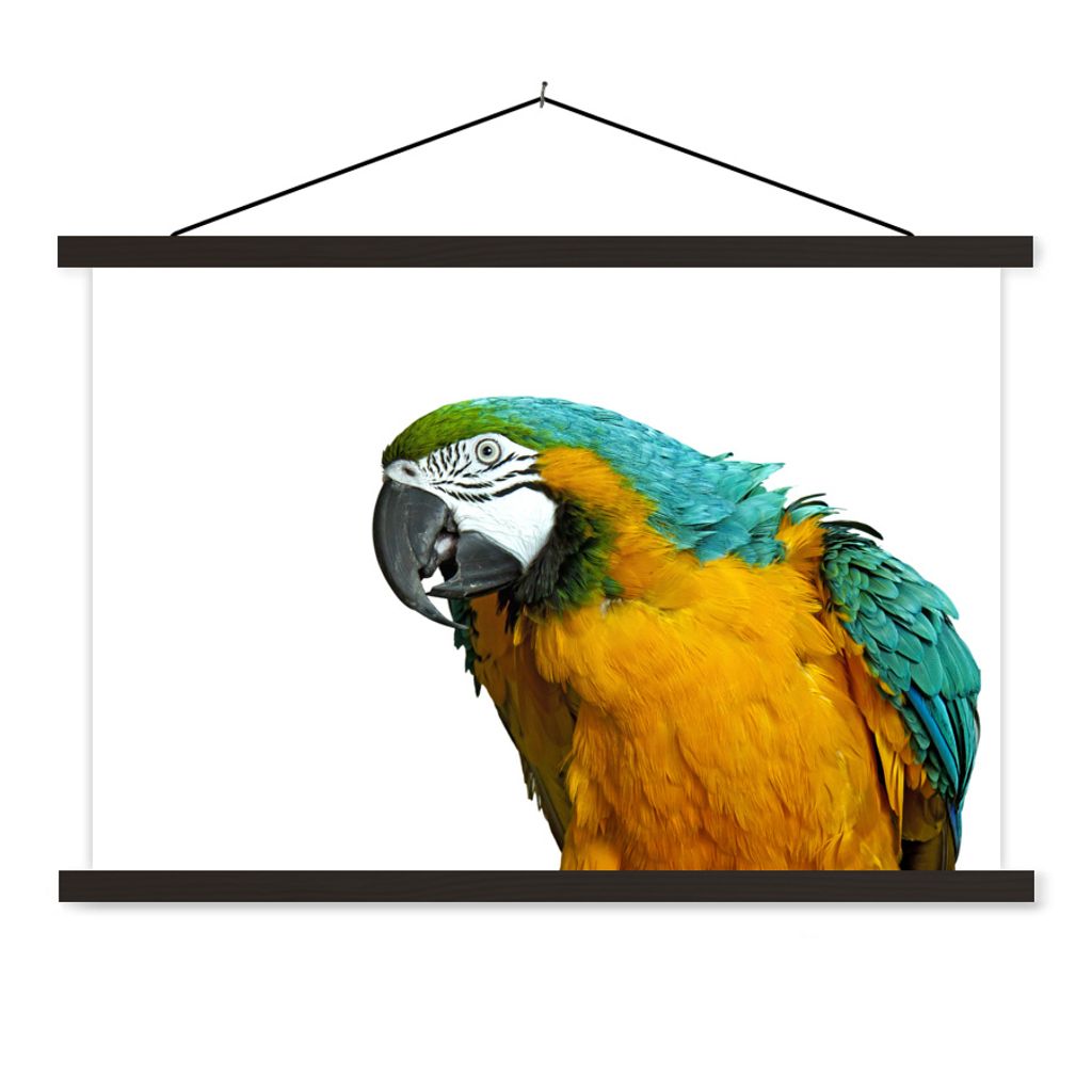 MuchoWow Textilposter Papagei - Vogel - Federn - Porträt 120x80 cm mit schwarzem Rahmen - Wanddeko