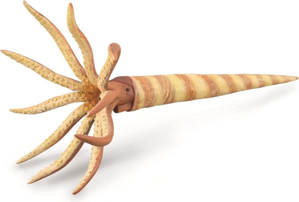 CollectA Orthoceras : Sammeltierfigur COLECTA Altersbereich: +3 Jahre alt