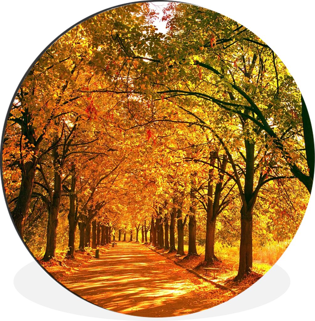 MuchoWow Aluminium Wandkreis Wald - Herbst - Jahreszeiten - Ländlich Ø 30 cm Wanddeko Modern Wohnzimmer - Wand Bild - Wohnzimmer - Runde Bilder...