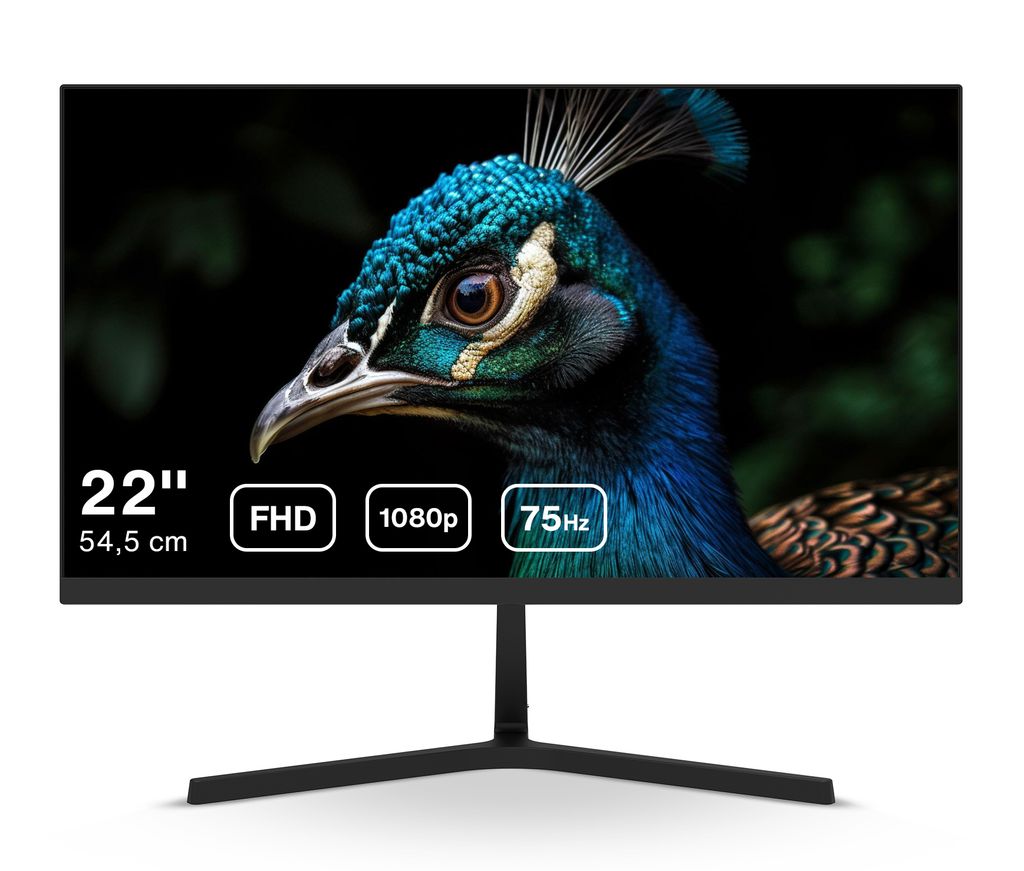 Moniteur Dahua 22 pouces, 22" Full HD, IPS, 1920x1080, 75 Image du produit 