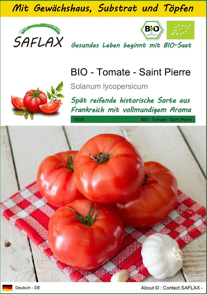 SAFLAX Anzucht Set - BIO - Tomate - Saint Pierre - Solanum lycopersicum - 15 Samen - Mit Mini-Gewächshaus, Anzuchtsubstrat und 2 Töpfen