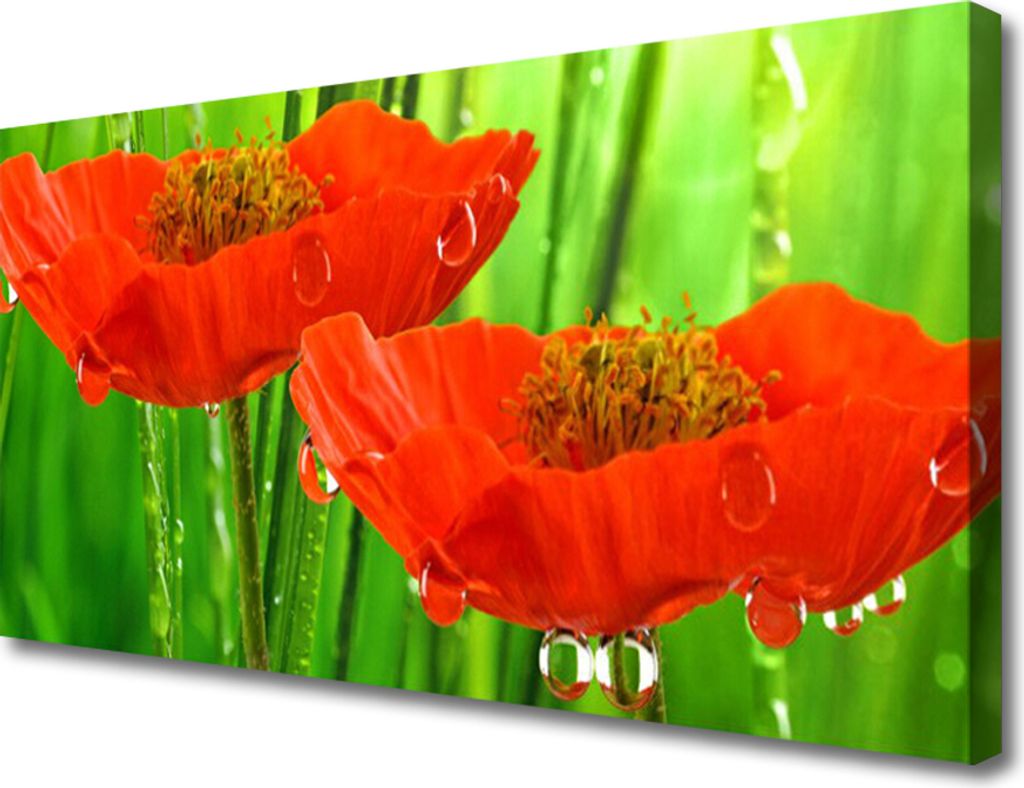 Tulup Leinwand-Bilder 100x50 Wandbild Canvas Kunstdruck Mohnblumen Pflanzen
